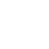 BSI